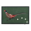 Pheasant Green 2 Washable Doormat - 65x100cm