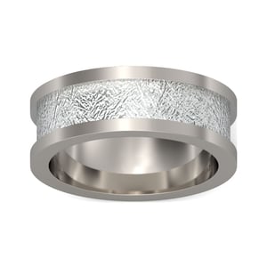 Jeulia Classic Titanium Steel Men's Band