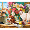 Curious Cats_W