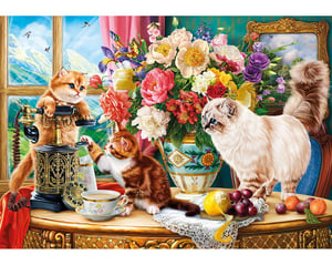 Curious Cats_R