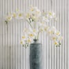 36" Artificial White Phalaenopsis Orchid Stems