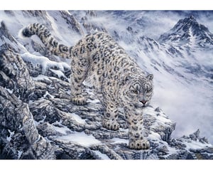 Snow Leopard