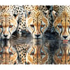 The Puzzle That Can't Be Tamed