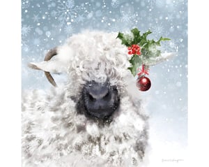 Snowy Sheep_TS