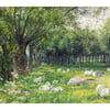 Sheep in an Orchard at Springtime