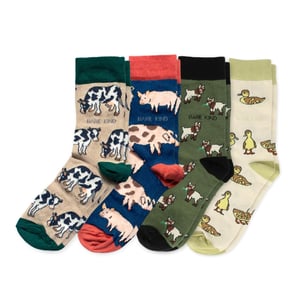 Farm Rainbow Bundle of 4 Bamboo Sock Set | UK Adult 7-11