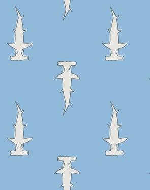Hammerheads' Wallpaper by Tea Collection - Cornflower - Traditional / 27 in. x 27 ft.