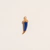 Cornicello Charm