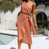 Golden Vibes Midi Dress Blush