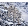 Snow Leopard - Extra Difficult