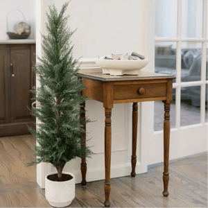 4' Cedar Tree