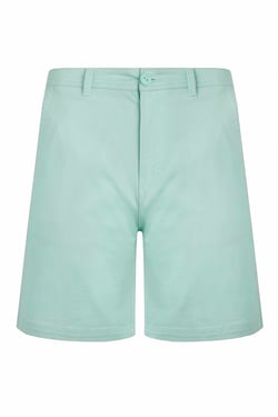 Weird Fish Rayburn Cotton Flat Front Shorts Seafoam Size 40