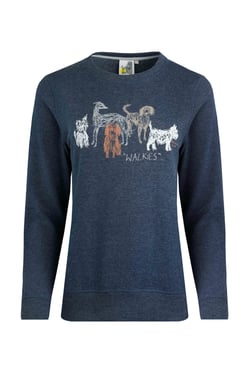 Weird Fish Chidham Graphic Crew Neck Sweatshirt Navy Size 8