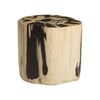 Cast Petrified Wood Accent Stool
