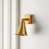 Crick single spotlight in antiqued brass