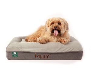 QE Home Charlie & Co Ergonomic Memory Foam Pet Bed, White, Small
