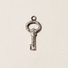 Fini’s Key Charm