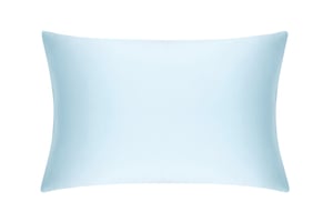 Pastel Blue Pure Silk Pillowcase - Standard / Without