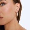 Polished Look Earrings Gold