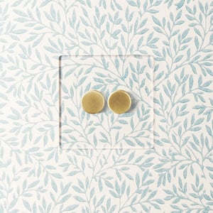 Lucian perspex two gang dimmer in clear perspex and aged brass