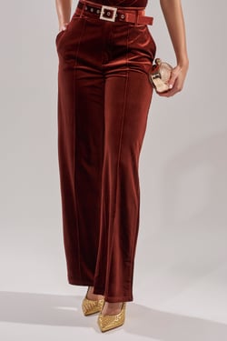 AKIRA Flashing Lights Velvet Trouser Pants | Size 1X