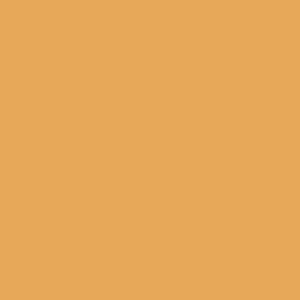 GAMBOGE Paint Pot 125ml - 13