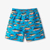 Boys Lots Of Fish Swim Trunks