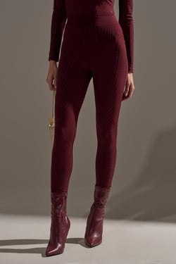 AKIRA Twinkling Lights Rhinestone Mesh Leggings | Burgundy | Size 1X