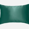QE Home 100% Mulberry Silk Pillowcase in Dragonfly, Green, Queen