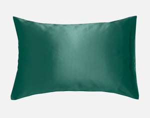 QE Home 100% Mulberry Silk Pillowcase in Dragonfly, Green, Queen