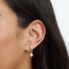 Zest For Life Earrings Gold
