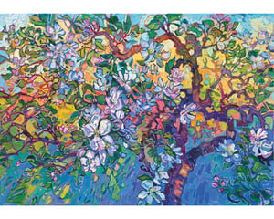 Apple Blossoms
