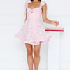 Sunlit Picnic Mini Dress Pink