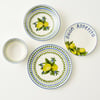 Lemoncello 24 Piece Porcelain Dinnerware Set