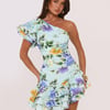 Secret Meadow One Shoulder Mini Dress Print
