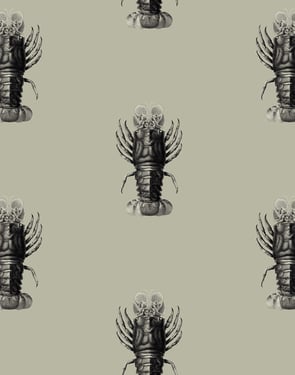 Jack The Crustacean' Wallpaper by Wallshoppe - Antique - Traditional / 27 in. x 27 ft.