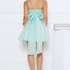 Magical Secret Mini Dress Mint