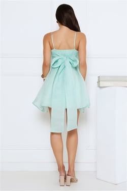 Magical Secret Mini Dress Mint