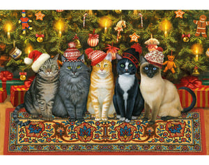 Cats In Christmas Hats