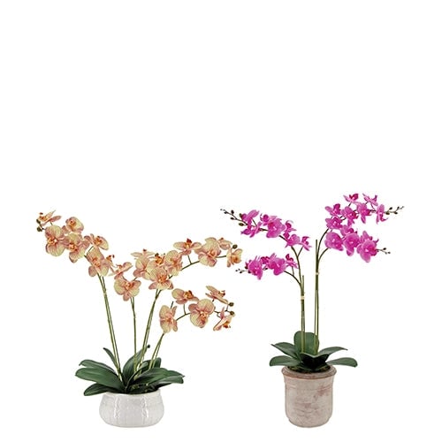Artificial Phalaenopsis Orange and Pink Orchid Plants