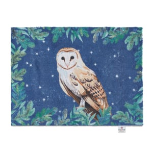 Owl 1 Charity Doormat - 65x85cm