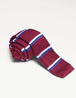 Elensa Silk Tie - Burgundy Stripe