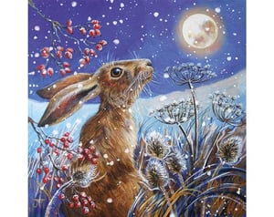 Moon Gazing Hare