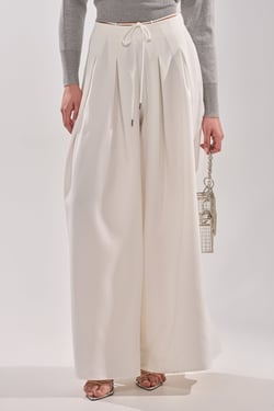 AKIRA Glorious Pleated Wide Leg Trouser Pants | Size 1X