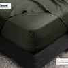 QE Home 350TC BeechBliss TENCEL™ Modal Fitted Sheet in Rainforest, Green, Queen