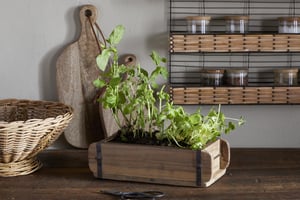 nkuku Dudha Reclaimed Brick Box | Vases & Planters | One Size | Natural