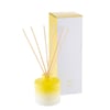 Galway Crystal Lime & Vetiver Diffuser