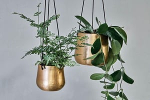 nkuku Atsu Brass Hanging Planter | Vases & Planters | Small | Antique Brass