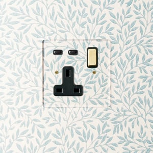 Lucian single socket with USB type C in clear perspex with black inserts and aged brass switch