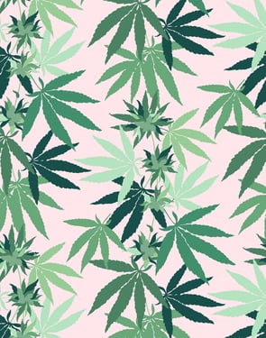 Cannabis' Wallpaper by Nathan Turner - Pink - Traditional